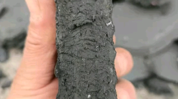 污泥处理与资源化解决方案 设备、技术与市场应用